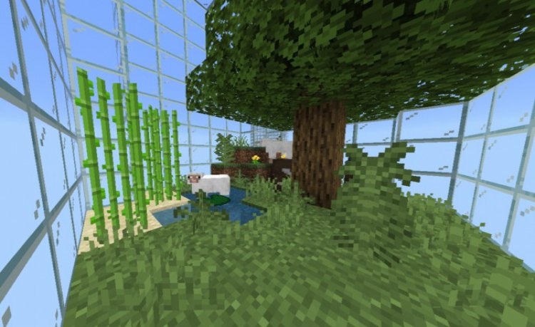 MCPE/Bedrock Biome Jars