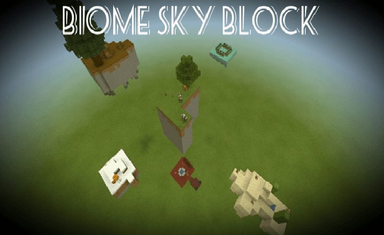 MCPE/Bedrock Biome Sky Block