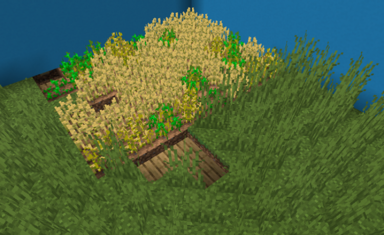 MCPE/Bedrock Find That Button! (FTB!)