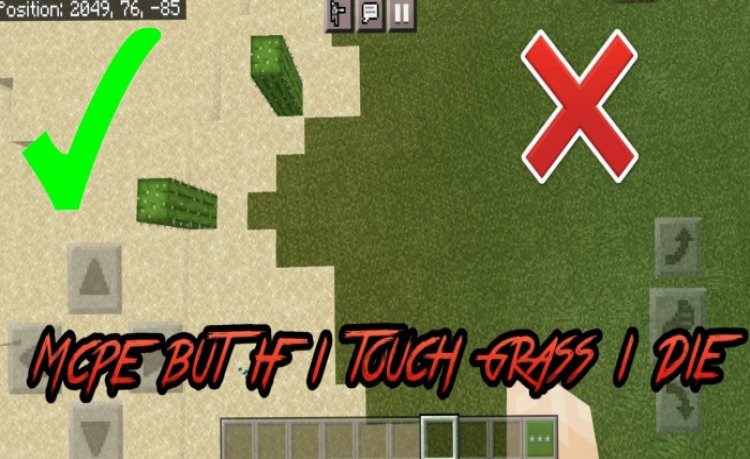 MCPE/Bedrock MCPE But If You Touch Grass You Die