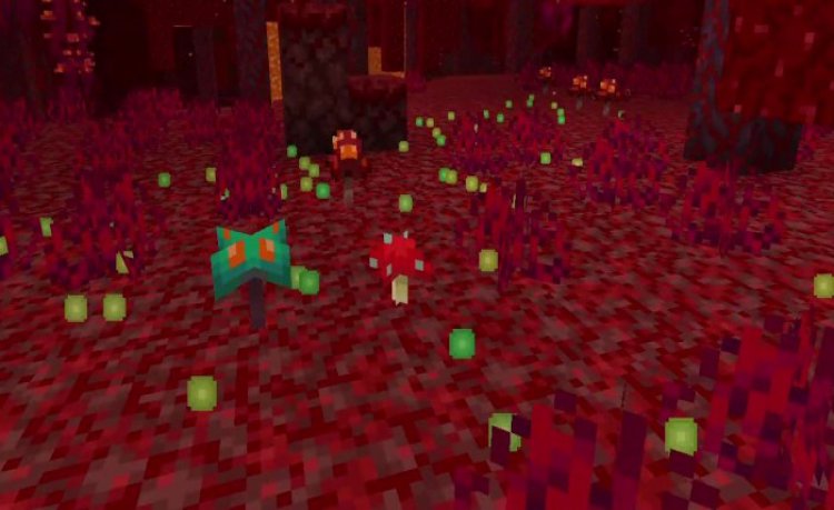 MCPE/Bedrock XP Orb Desync Patch