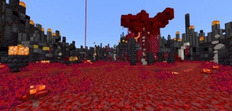 DARK ARENA KIT PVP