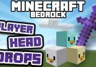 Player Head Drops Addon (Download/Tutorial) - Minecraft Bedrock
