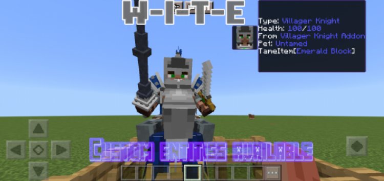 What Is This Entity - (Custom Entities Available) - (1.17.40++)